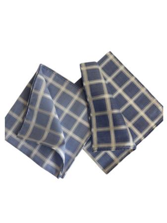 The pocket handkerchieves &raquo; The colored pockets &raquo; Satin check pocket square